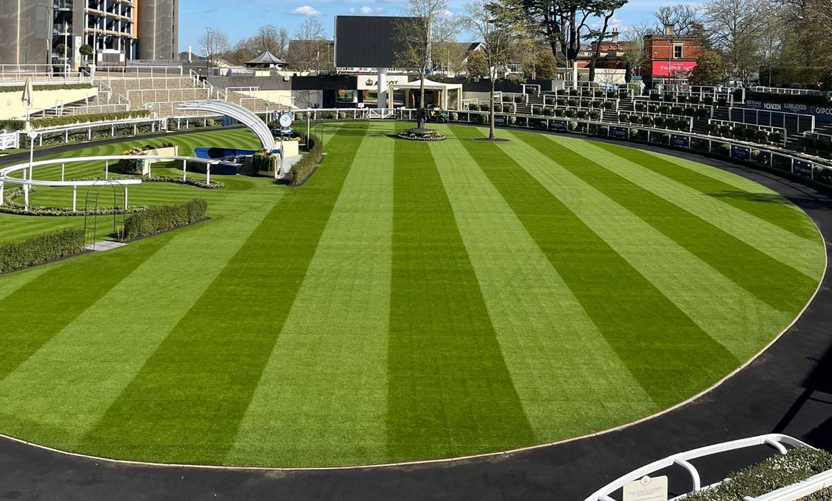 Equestrian Facilities and Racecourses Photo