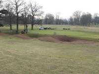 Fineturf Photos