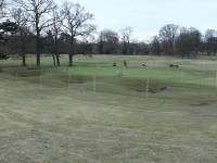 Fineturf Photos