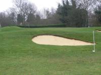 Fineturf Photos