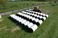 Fineturf Photos