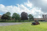 Fineturf Photos
