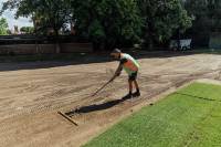 Fineturf Photos