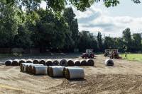 Fineturf Photos