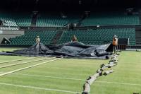 Fineturf Photos