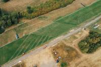 Fineturf Photos