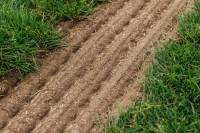 Fineturf Photos