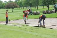 Fineturf Photos
