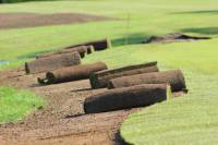 Fineturf Photos
