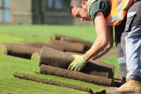 Fineturf Photos