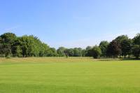 Fineturf Photos