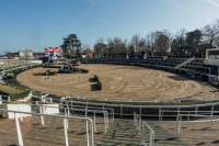 Fineturf Photos