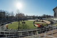 Fineturf Photos