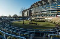 Fineturf Photos