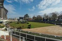 Fineturf Photos
