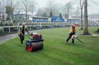 Fineturf Photos