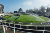 Fineturf Photos
