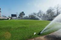 Fineturf Photos