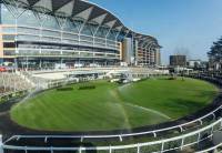 Fineturf Photos