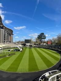 Fineturf Photos