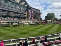 Fineturf Photos