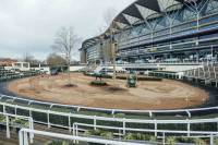 Fineturf Photos