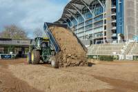 Fineturf Photos
