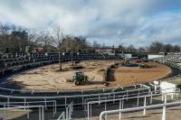 Fineturf Photos
