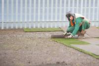 Fineturf Photos