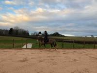 Fineturf Photos