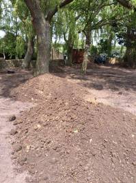 Fineturf Photos