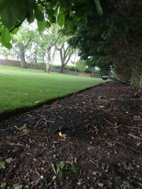 Fineturf Photos