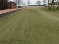 Fineturf Photos
