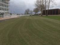 Fineturf Photos