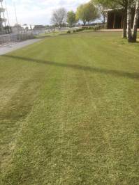 Fineturf Photos