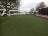 Fineturf Photos