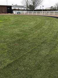 Fineturf Photos