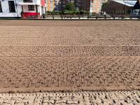 Fineturf Photos