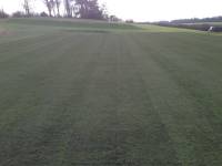 Fineturf Photos