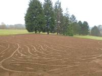 Fineturf Photos