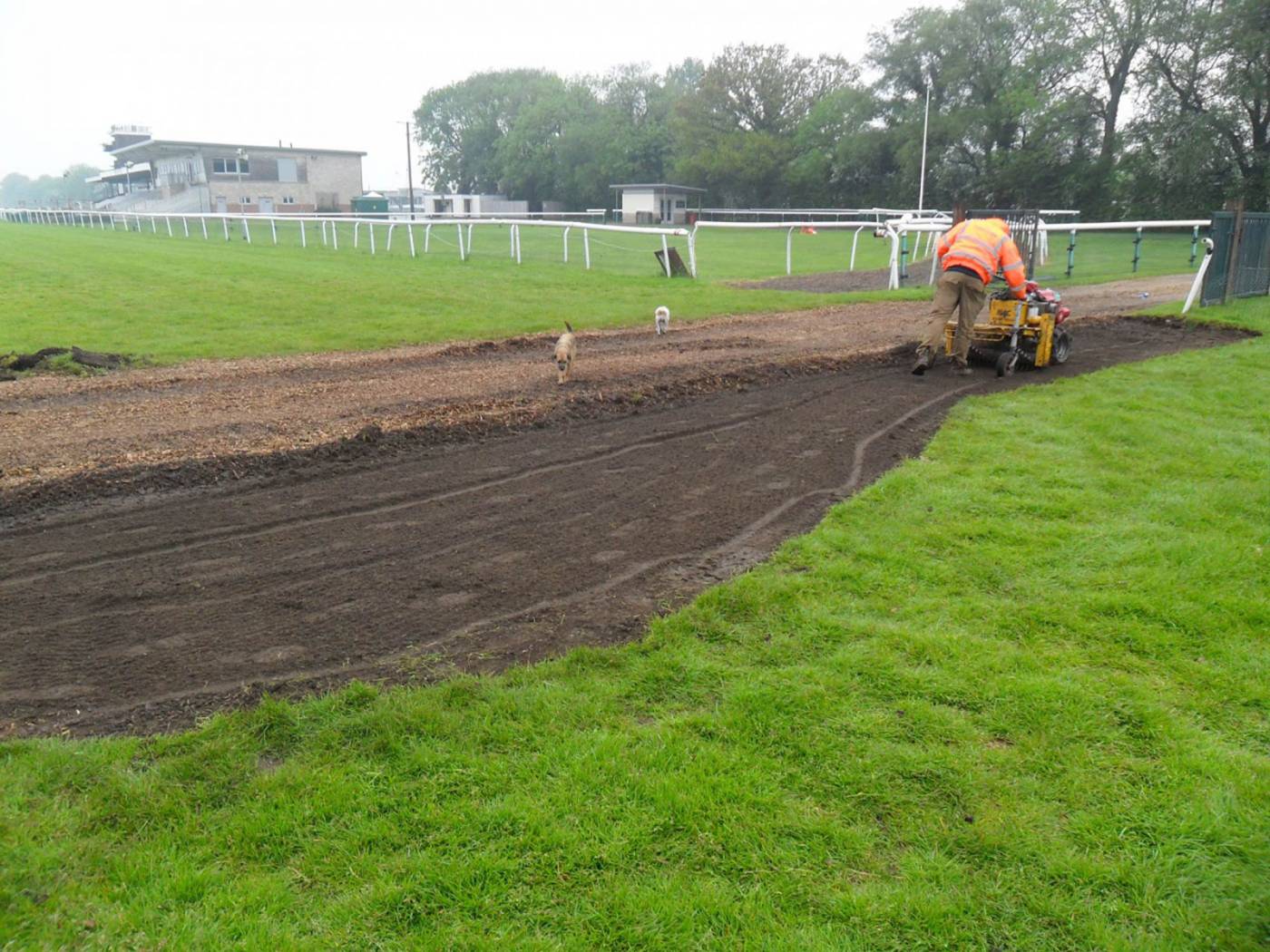 Ipswich Academy Sports Pitch Extension