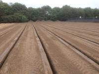 Fineturf Photos