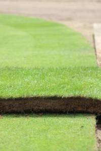 Fineturf Photos
