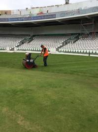 Fineturf Photos