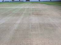Fineturf Photos