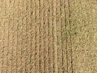 Fineturf Photos