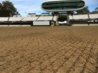 Fineturf Photos