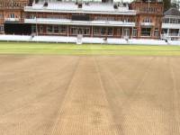 Fineturf Photos