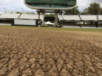 Fineturf Photos