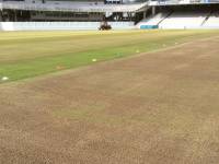 Fineturf Photos